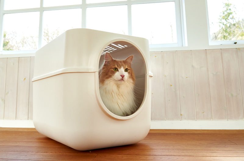 カバー付き　大型猫用トイレ