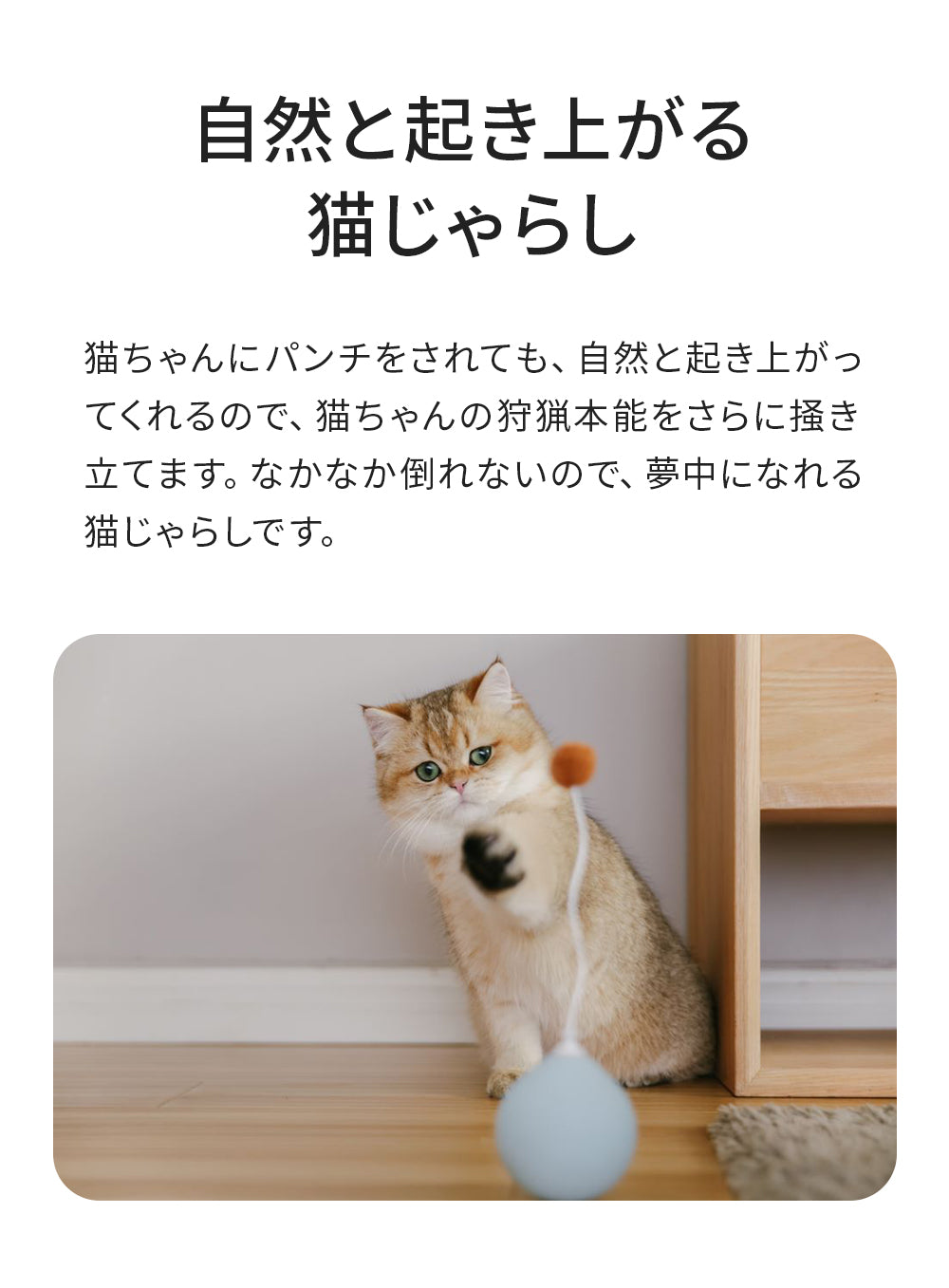 猫 猫用 ネコ ねこ用 猫じゃらし ねこじゃらし おもちゃ おしゃれ 電動 インテリア かわいい 綺麗