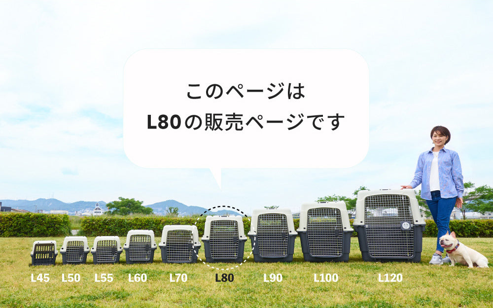 こちらはL80の販売ページです