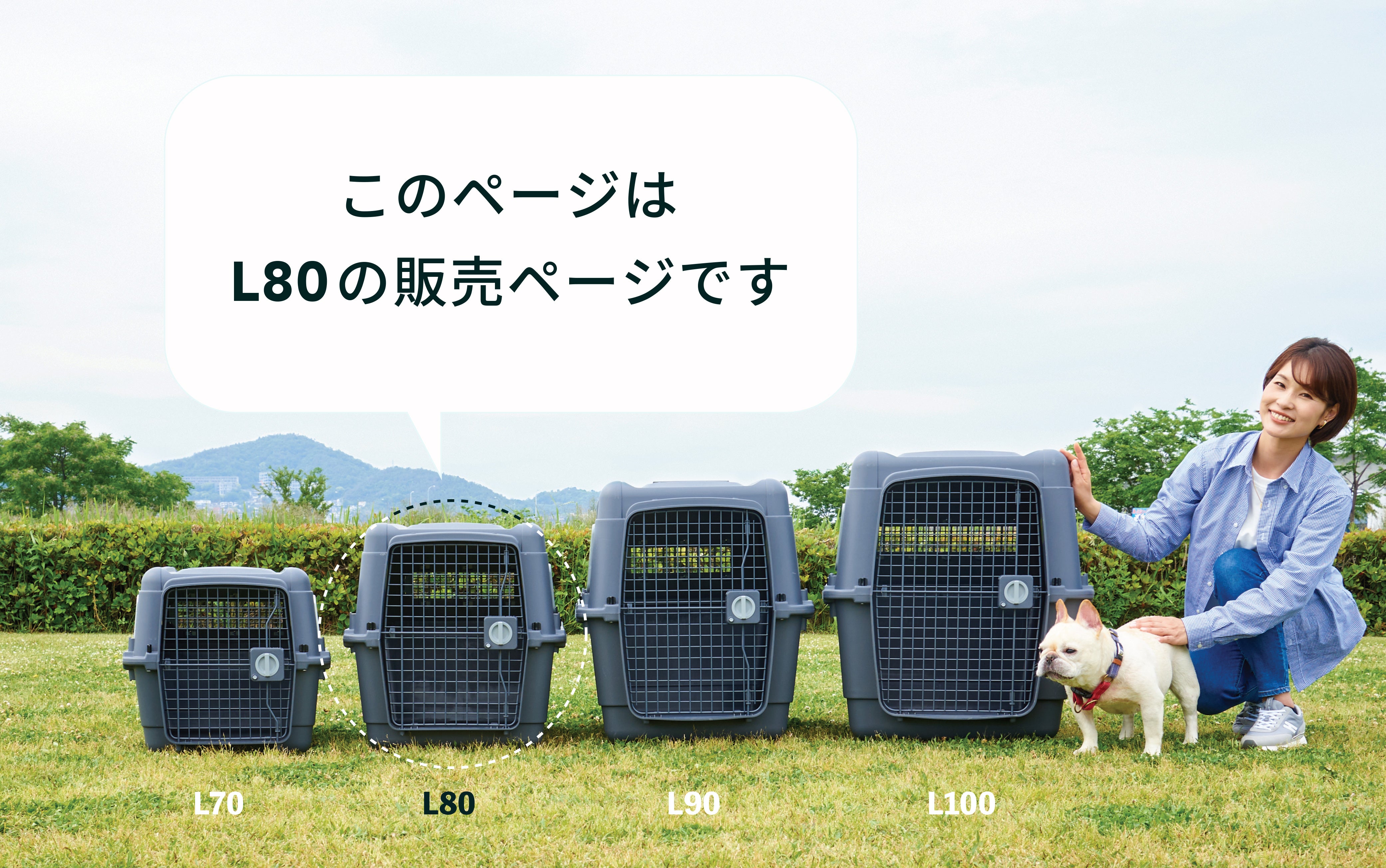 こちらはL80の販売ページです