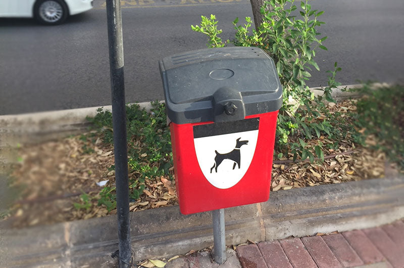 犬のうんちスポット　マルタ島