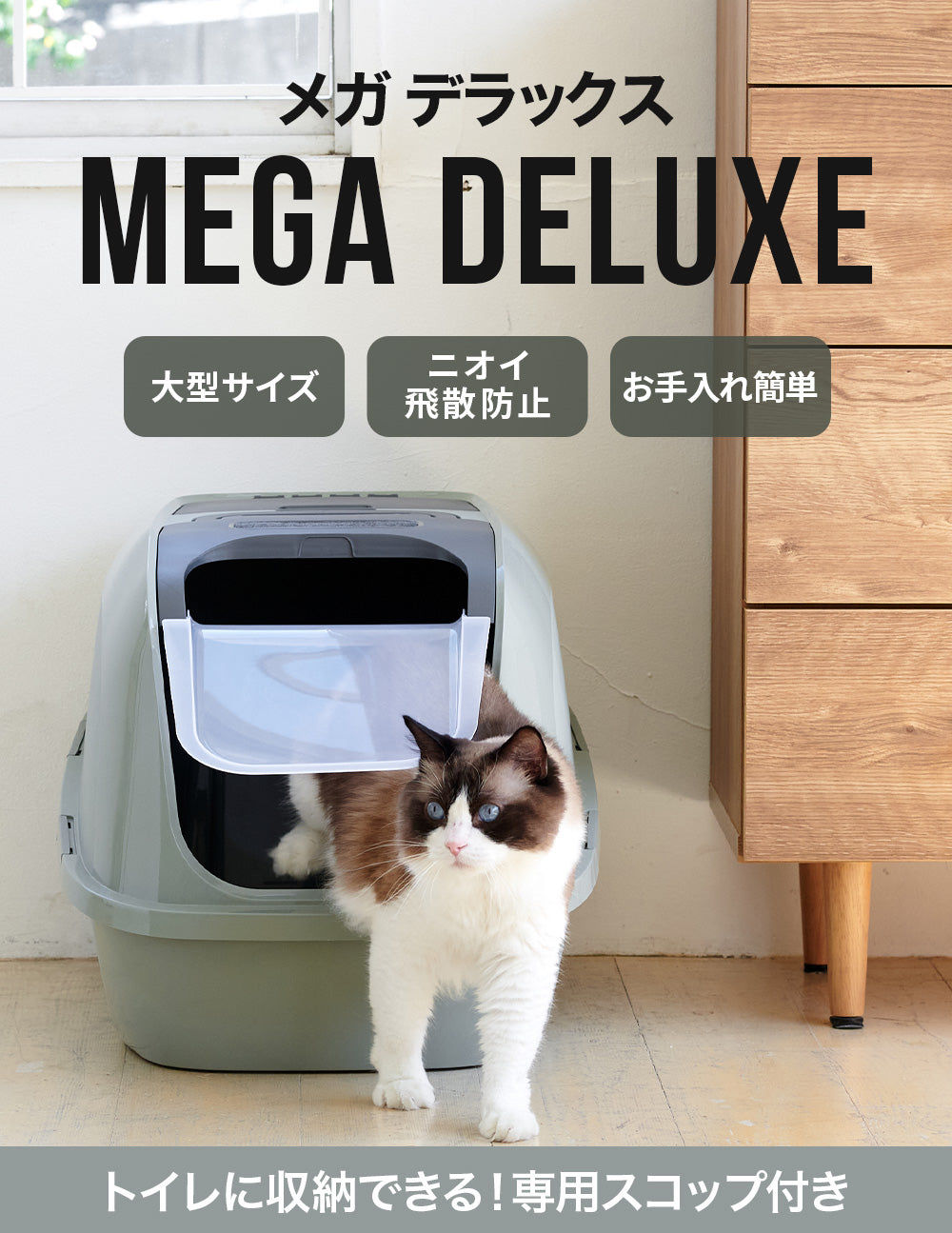 MEGA DELUXE メガデラックス – OFT STORE