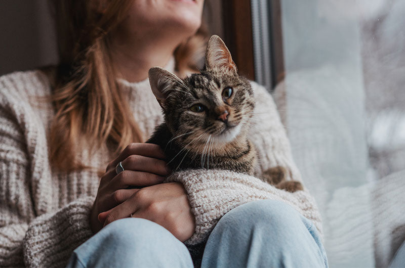 飼い主さんが愛猫を微笑みながら抱っこしている