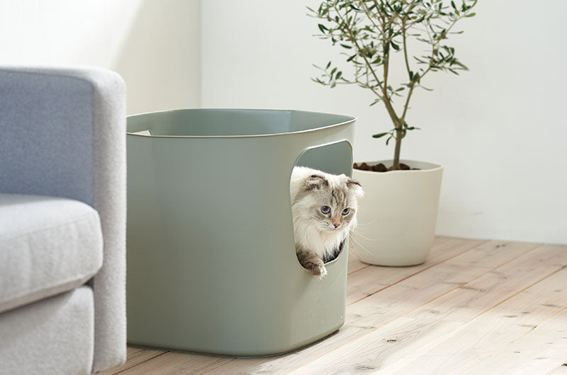 サスティナブルな猫トイレ　フレクシブルリッターボックス
