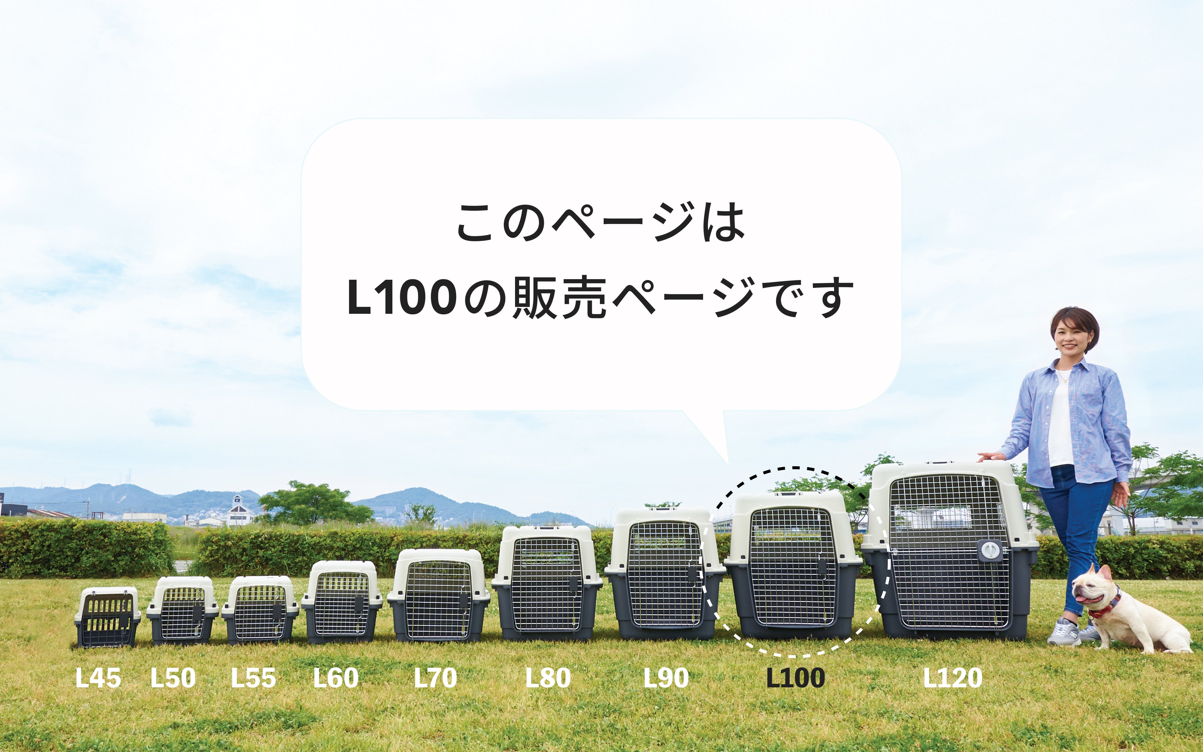 こちらはL100の販売ページです