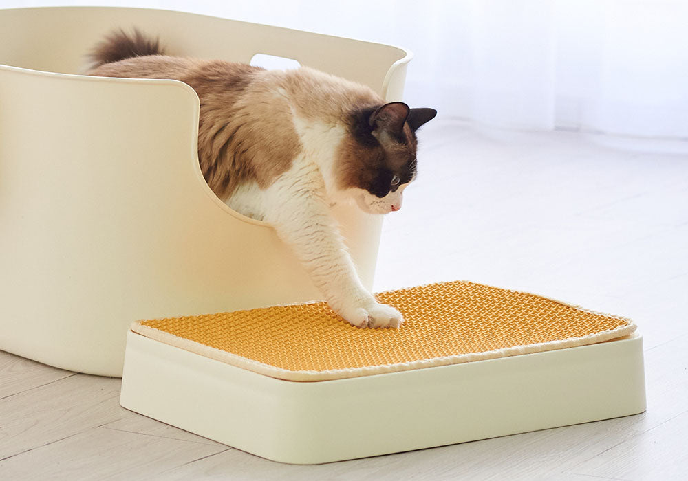 TALL WALL BOX 専用ステップ