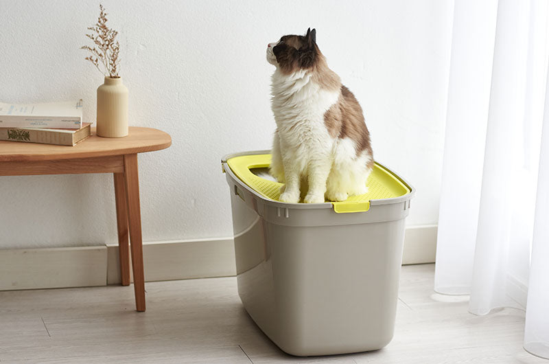 TOP CAT 猫トイレ　2色展開