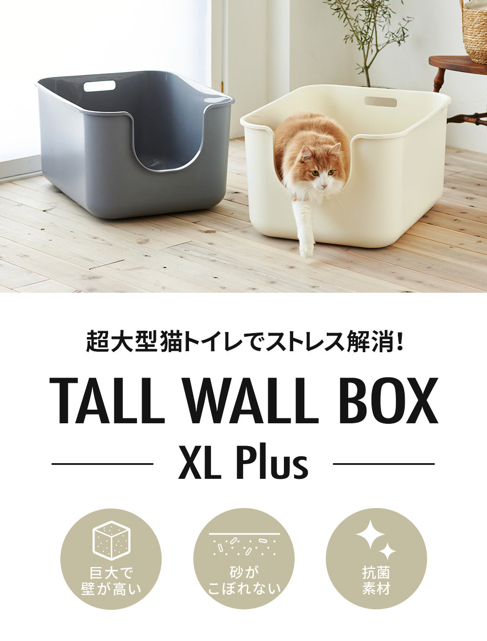 超大型猫トイレ 【TALL WALL BOX - XL Plus】スプレー対策や砂の飛び散り防止に