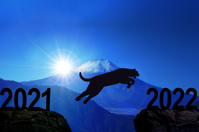 2022年寅年　富士山