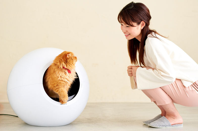 自動猫トイレ CIRCLE 0 サークルゼロ　自動　猫　トイレ　雑貨