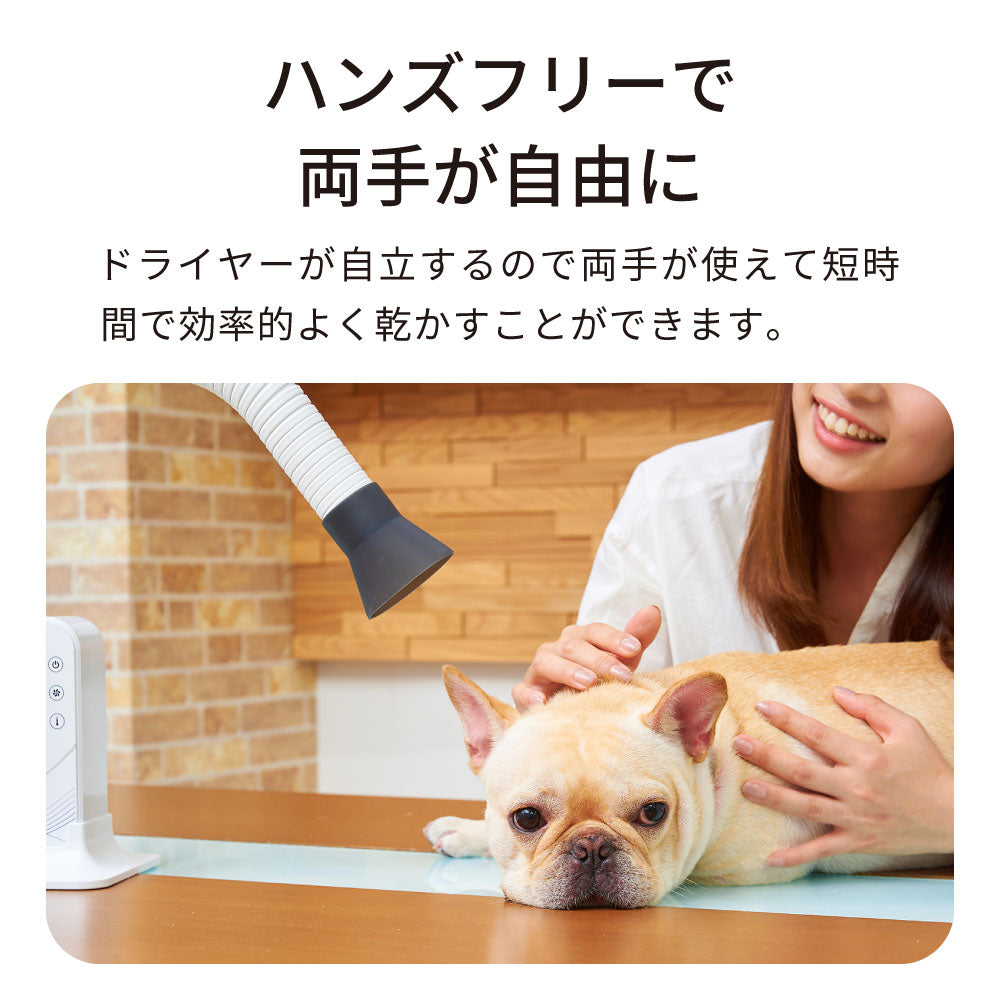 超可爱 Alizee ペット用 ハンドフリードライヤー 犬用品