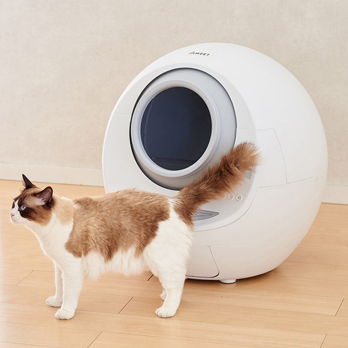 メール便なら送料無料 Mome 自動猫トイレ 安心の定価販売 Www Dialuk Info