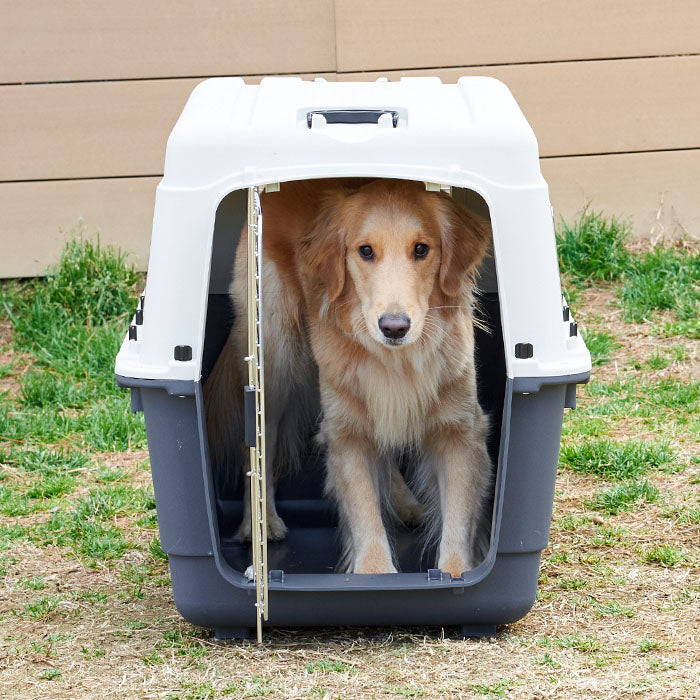 バーゲンで 大型犬航空用のケネル販売(ジャイアントバリケネル