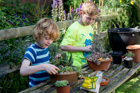 Grow a Container Garden fun family activities at home