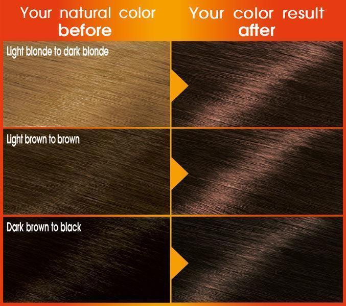 Garnier Color Naturals Hair Color Creme Brownie Chocolate 4 15