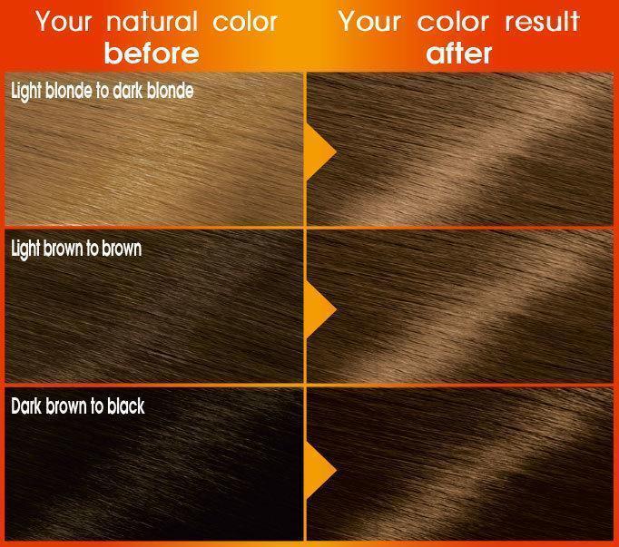 Garnier Color Naturals Hair Color Creme Dark Ash Blonde 6 1
