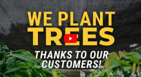 GiftAFeeling-We-Plant-Trees.png__PID:2857f3a6-b709-4dd0-942e-290e05b15d9e