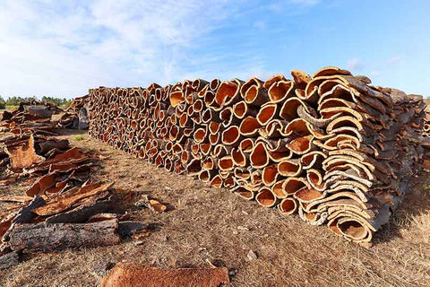 Cork bark drying in Portugal
