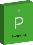 Phospherus element