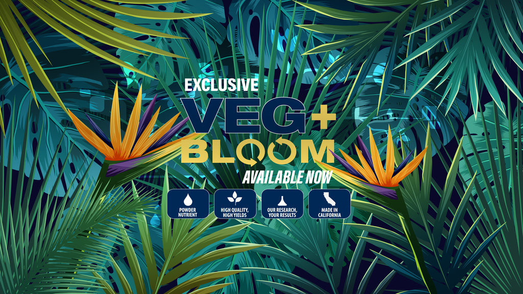 Veg Bloom logo in beautiful floral scene