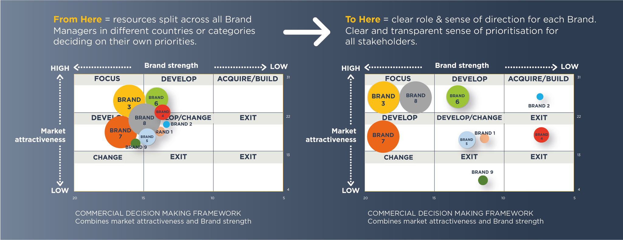 Intellic rigorous tool for brand portfolio harmonisation to optimise ROI