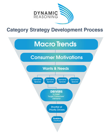 Best Practicse Category Strategy Development Process by Dynamic Reasoning