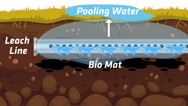 Septic Drain Field with Bio Film causing pooling water