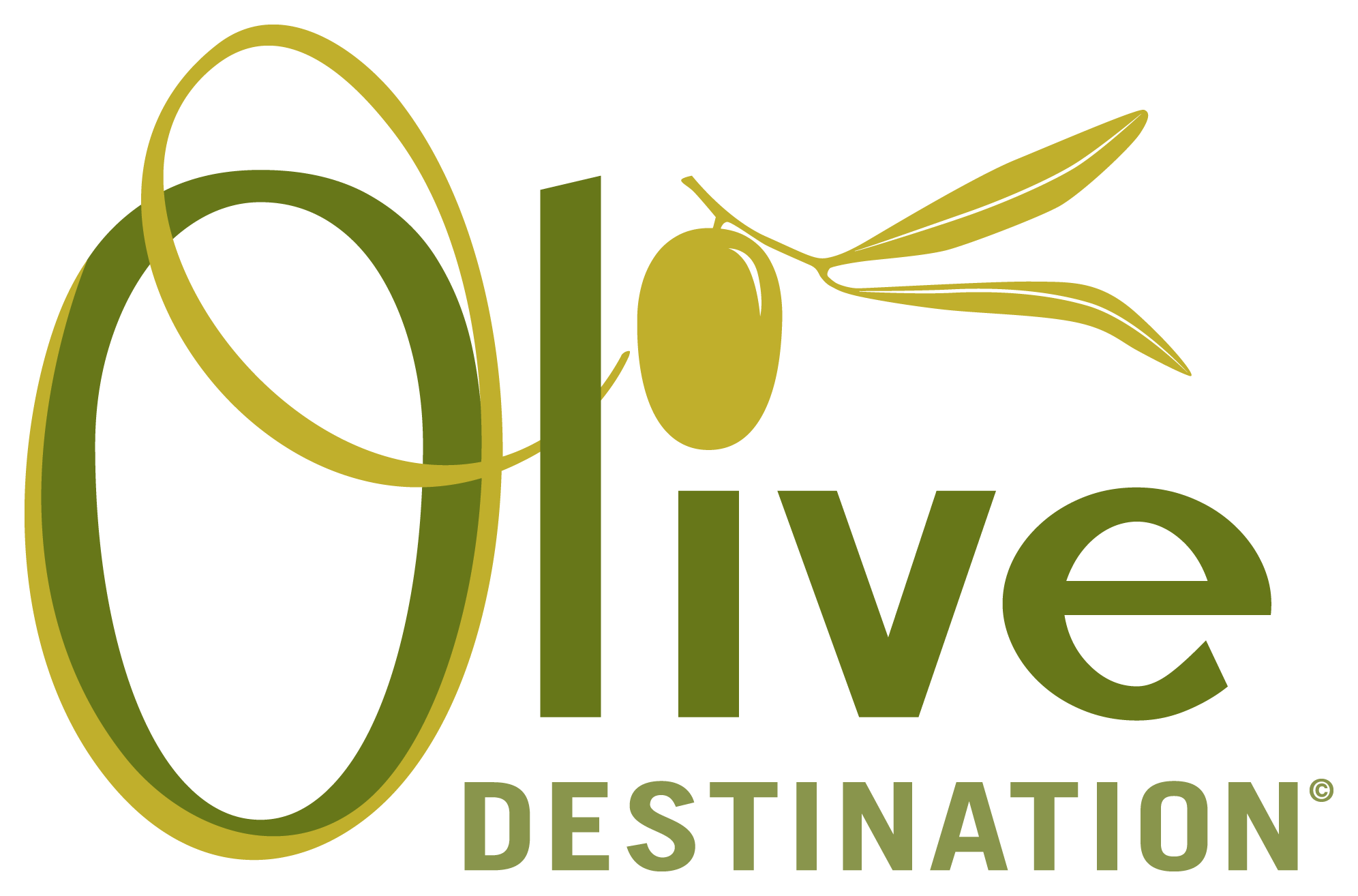Emulstir Dressing Mixer – Olive Destination