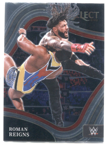 ザロック The Rock 22 PANINI SELECT WWE zebra | web-flake.com