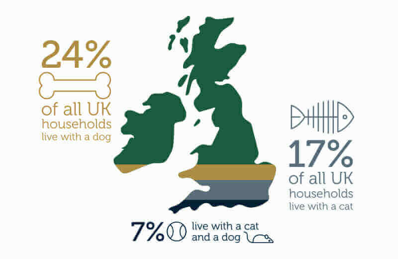 how many dogs and cats in the UK