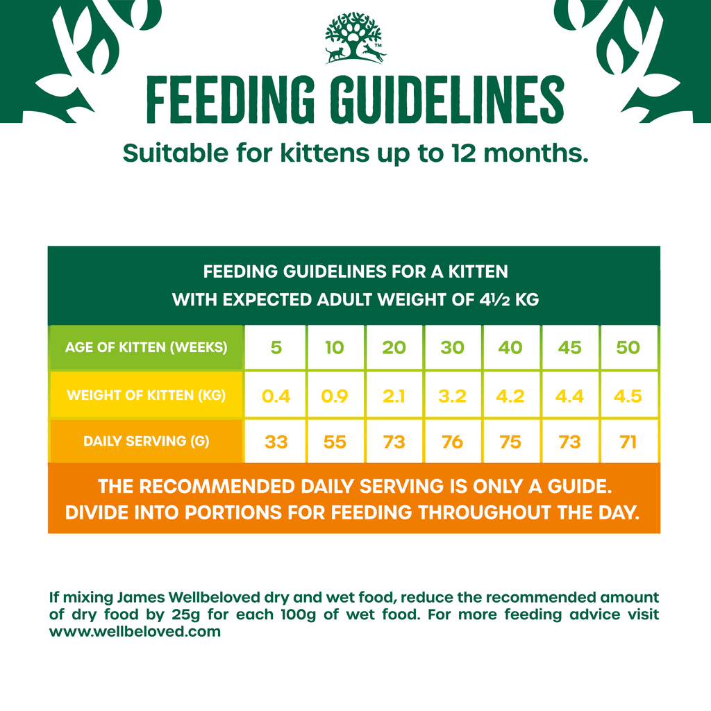 Kitten feeding guide