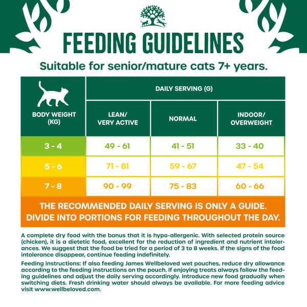 Cat Feeding Guide – James Wellbeloved UK