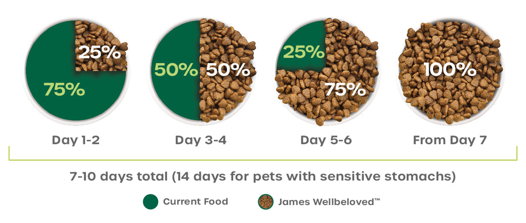 Transition guidance for dry dog food