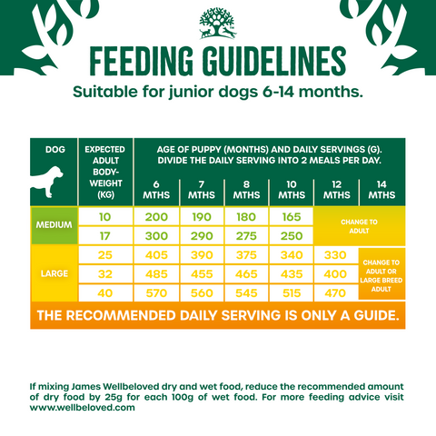 How Much Food To Feed My Dog & Feeding Chart By Weight