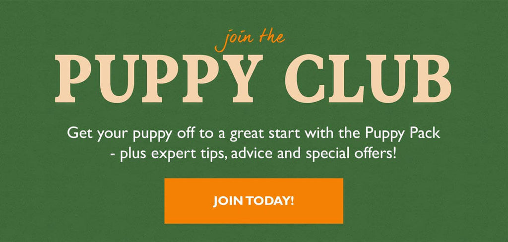 puppy club link