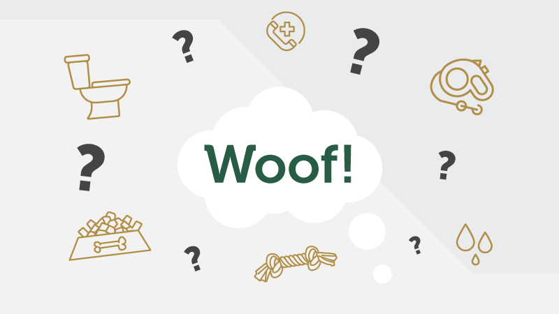 question marks and various icons surrounding 'Woof!'