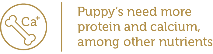 Puppies need more protein and calcium among other nutrients