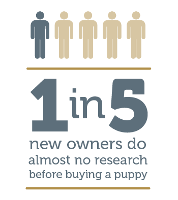 1 in 5 new owners do almost no research before buying a puppy