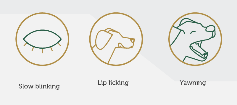 Three icons showing Slow Blinking, Lip Licking, and Yawning