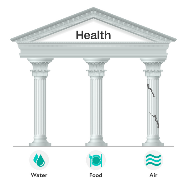 three pillars of health