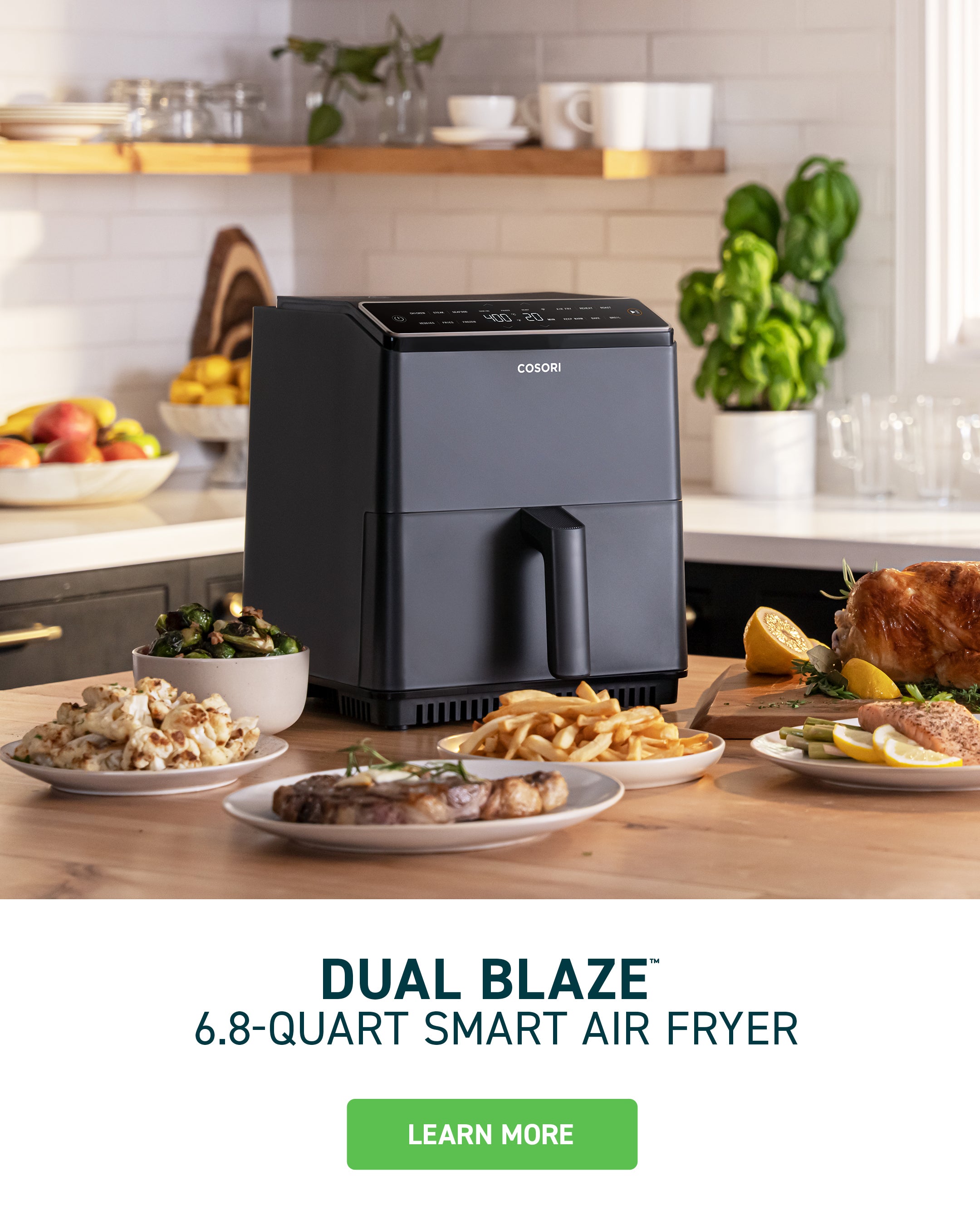 dual blaze air fryer with food dishes