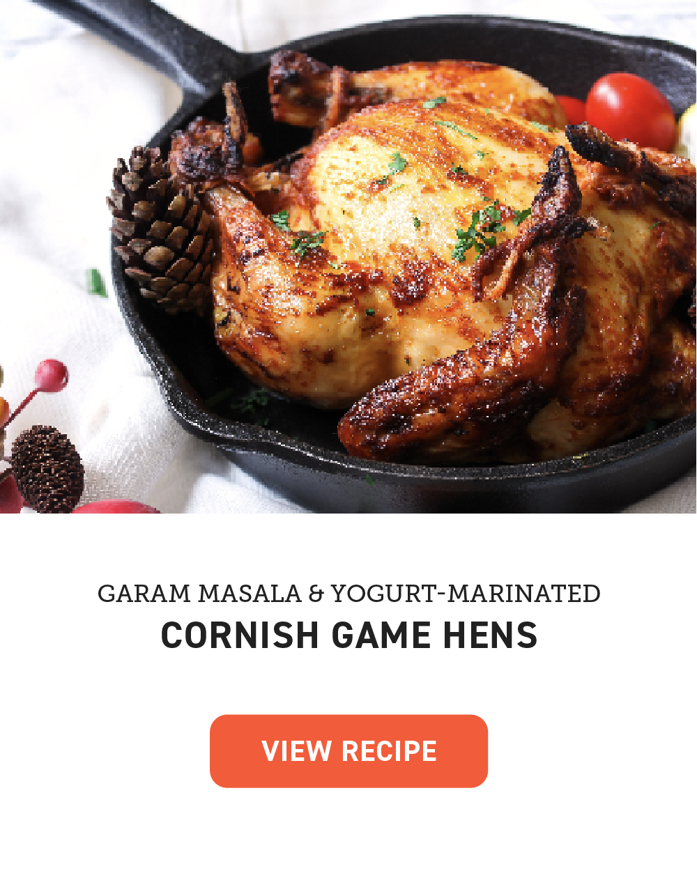 aeroblaze indoor grill Garam Masala & Yogurt-Marinated Cornish Game Hens