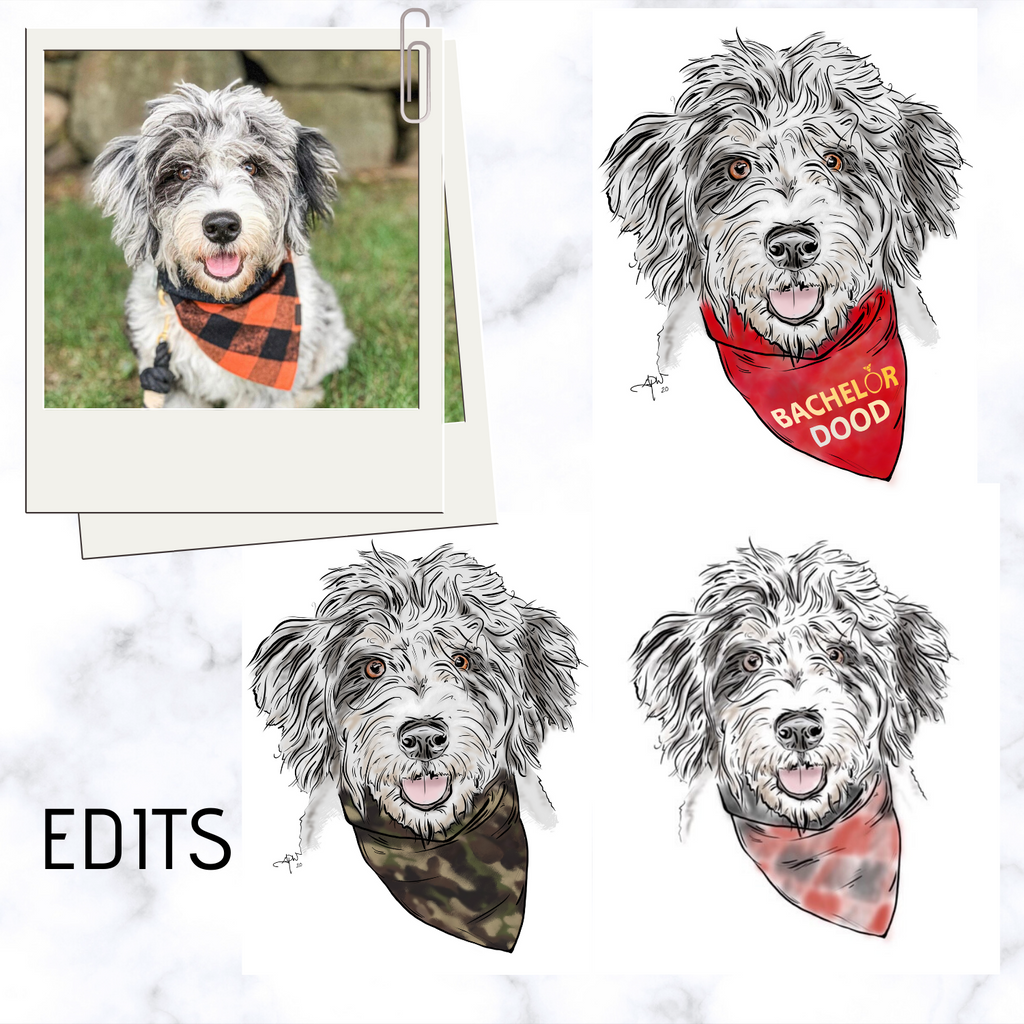 Download Pet Portrait Coloring Book 1st Edition Trendy Paw