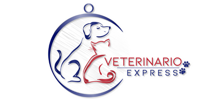 Veterinario Express Coupons and Promo Code