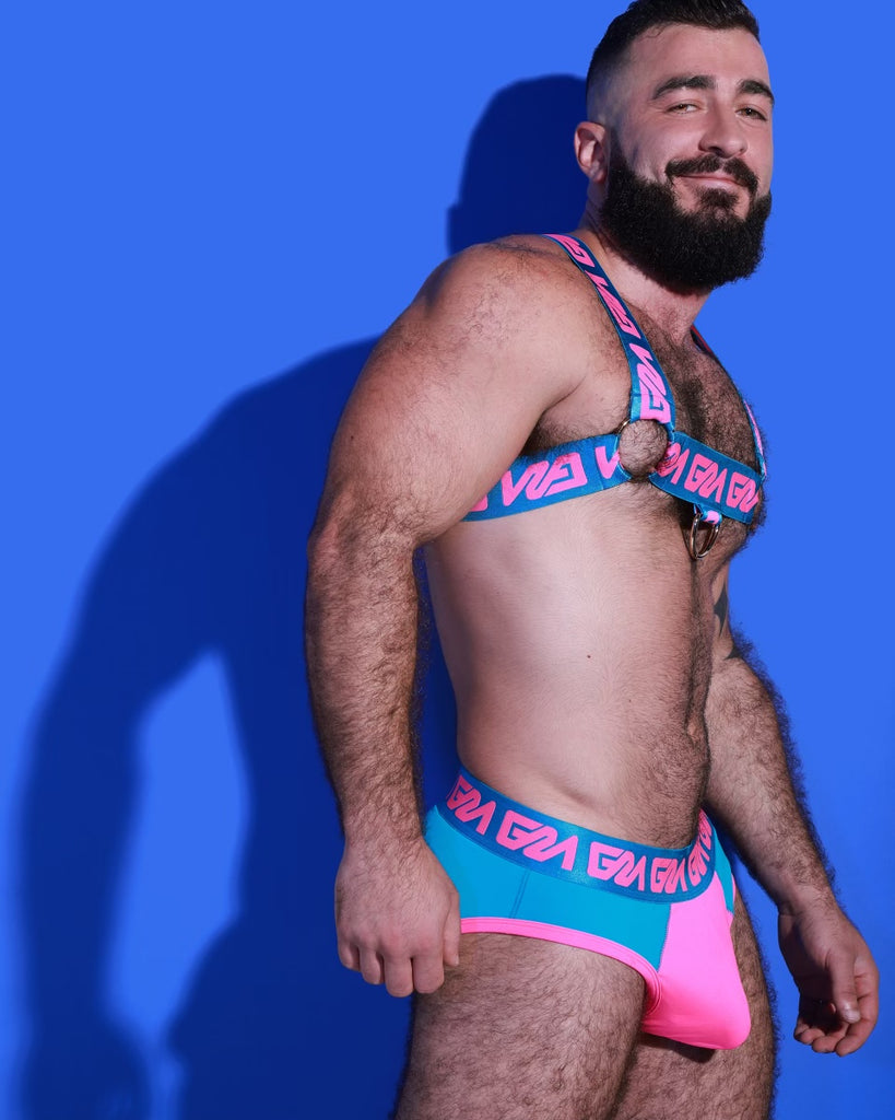Sexy Gay harness