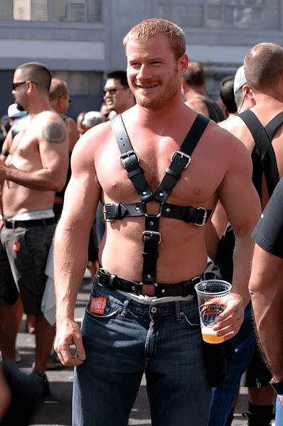 Gay men harnesses