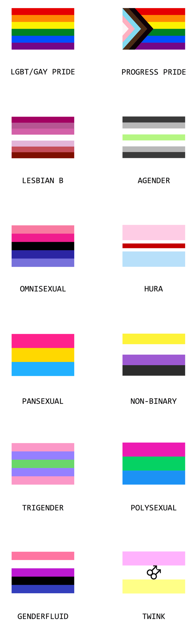 List of all gay LGBTQIA2S+ flags