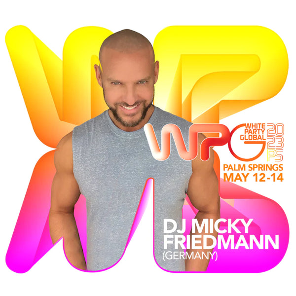 Micky Friedman DJ gay