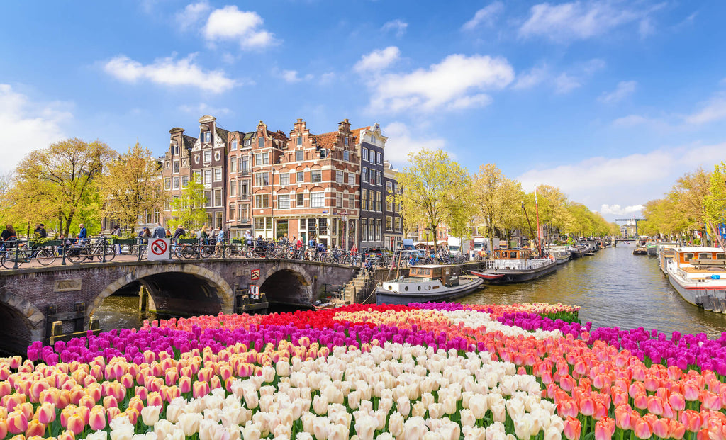 Why Amsterdam is the gay capital of Europe