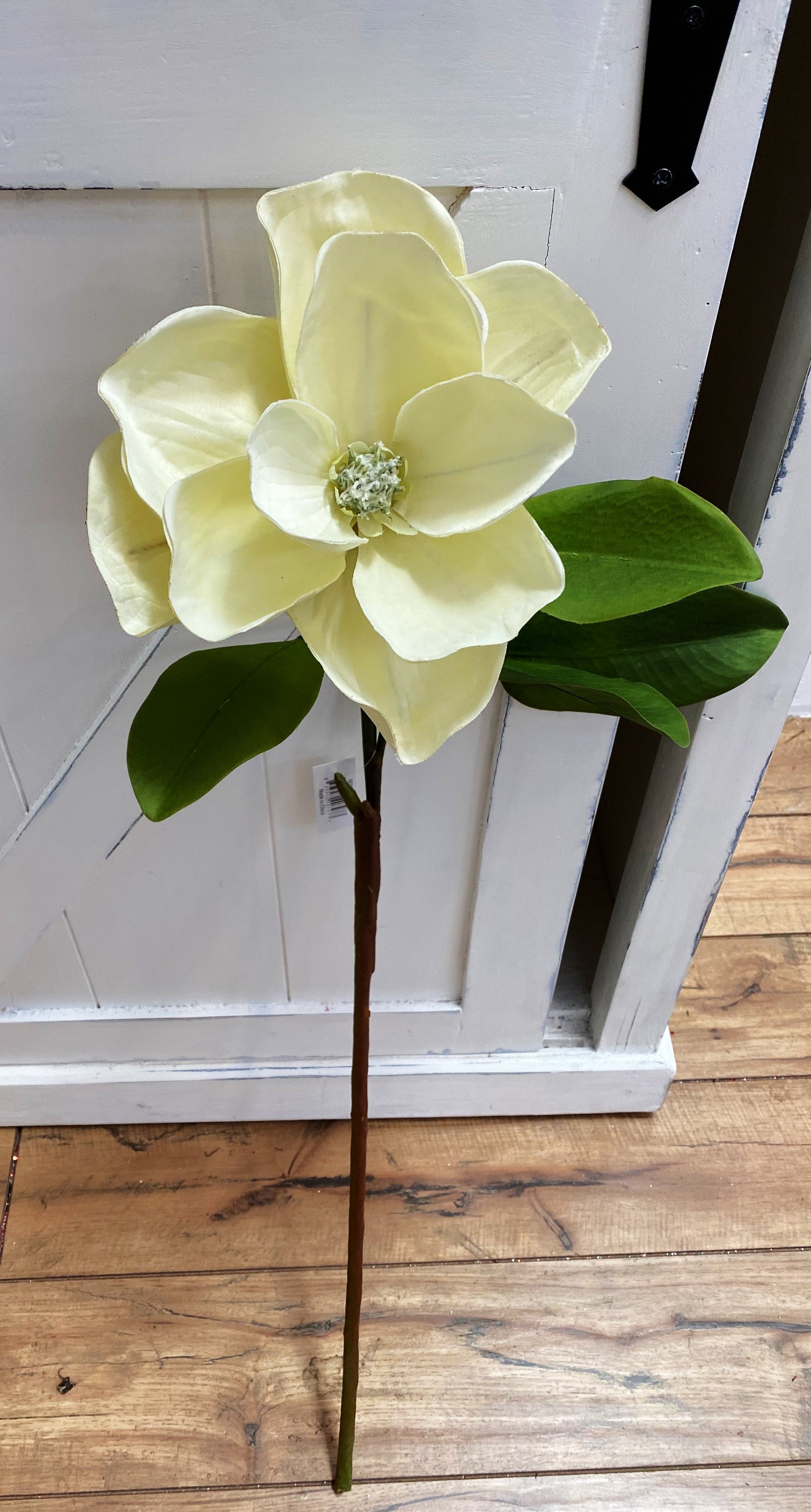 Single Cream Magnolia Stem – Ellis Home & Garden